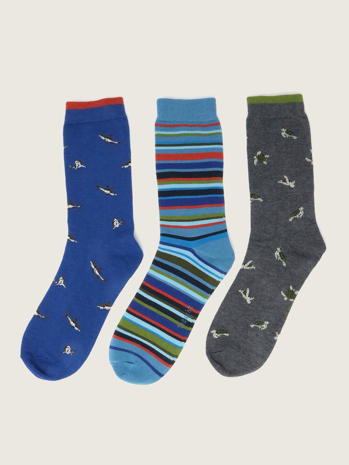 Sea Animal Pack Of 3 Socks - Multi - Flockneti