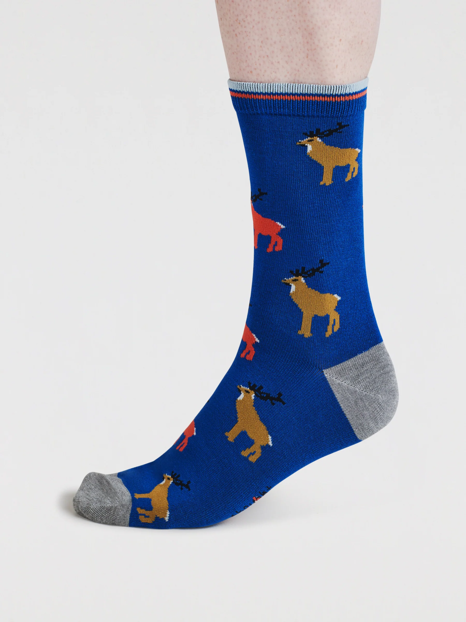 Daly Forest Adventure Bamboo 7 Sock Gift Box - Multi - Flockneti