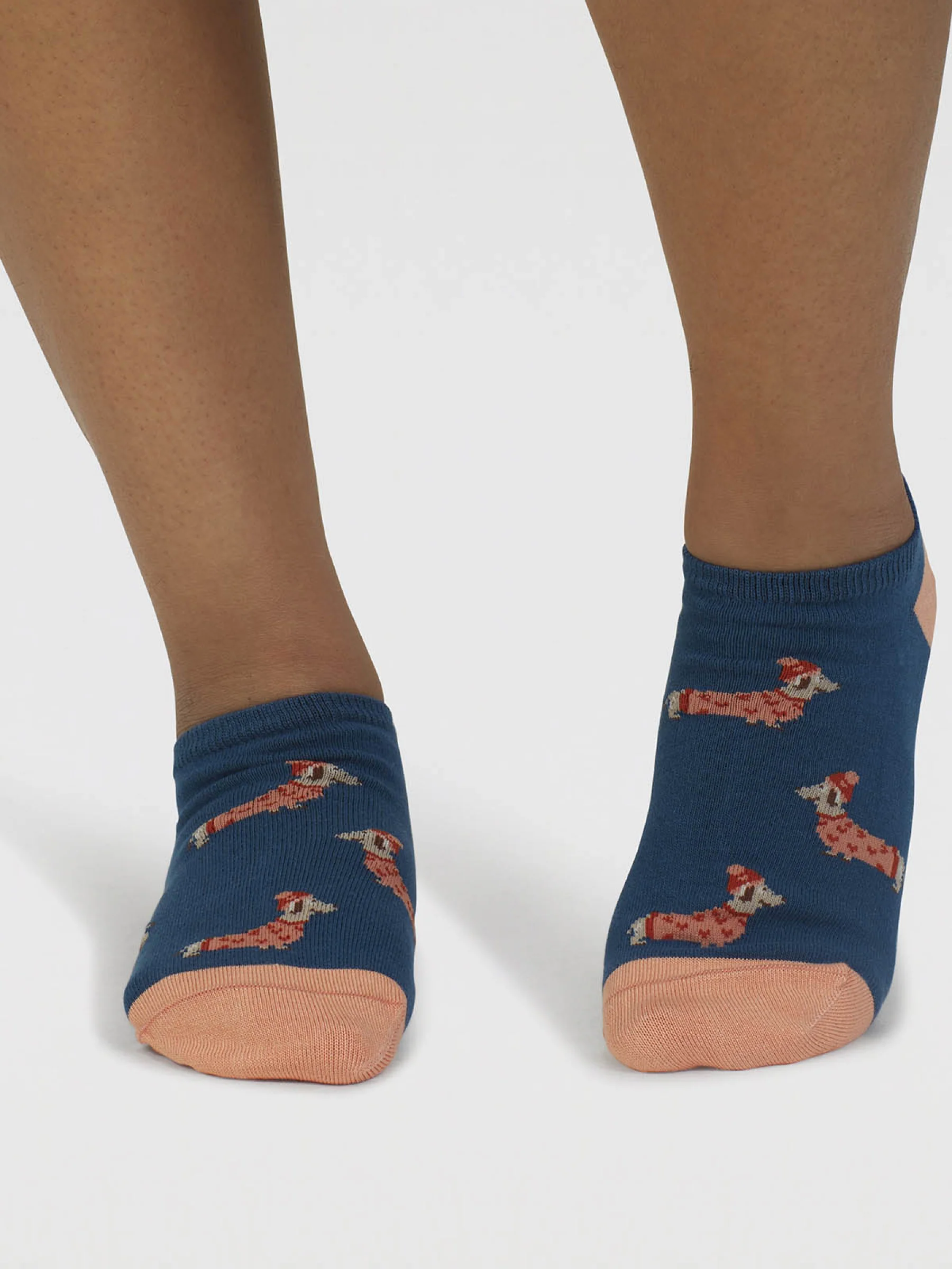 Freda Dachshund Organic Cotton Trainer Socks - Lake Blue - Flockneti