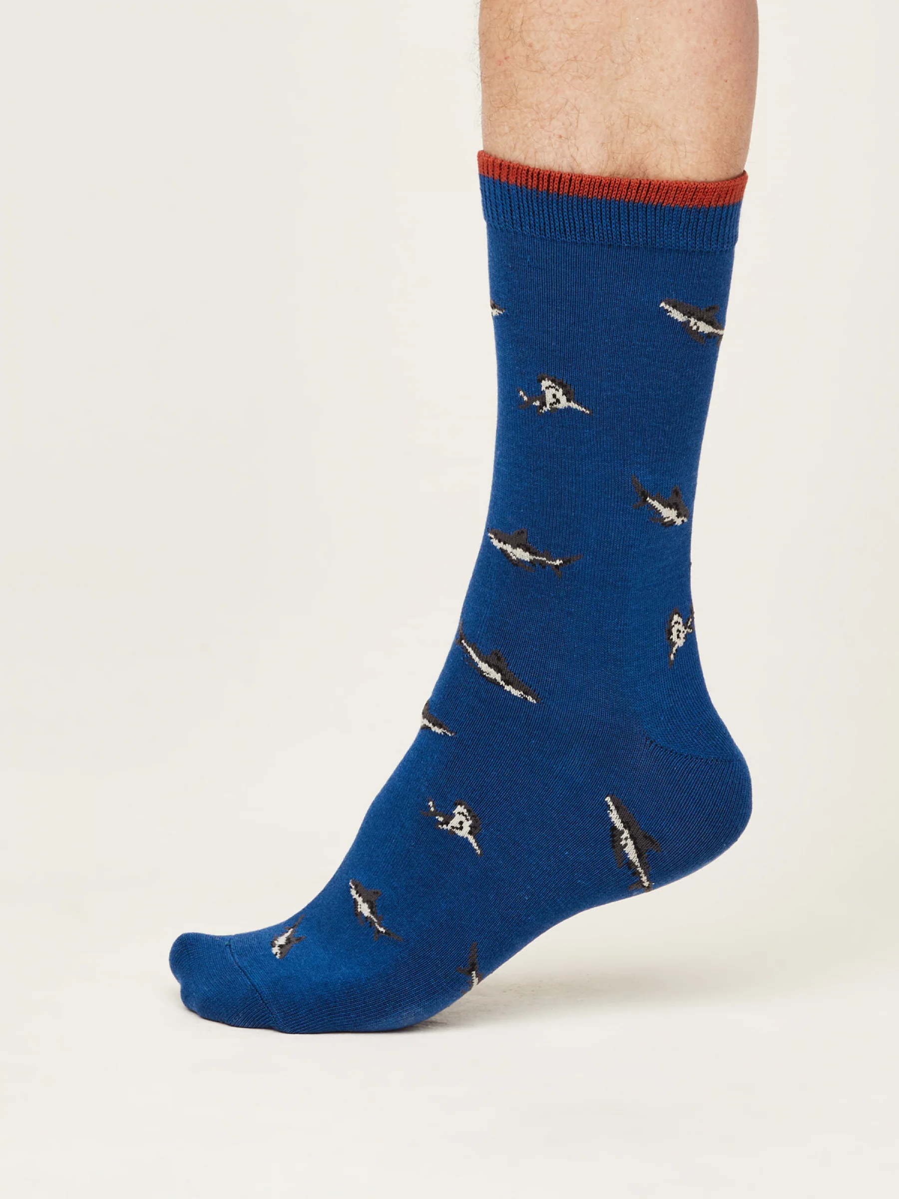 Sea Animal Pack Of 3 Socks - Multi - Flockneti