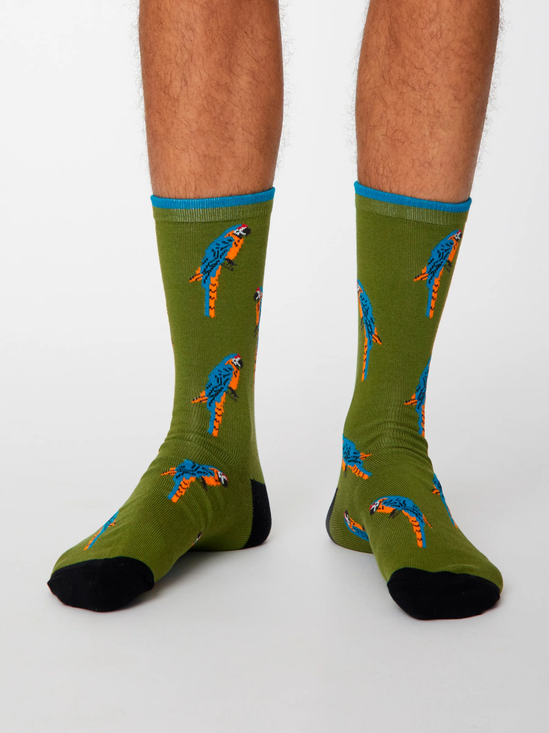 PAPPAGALLO SOCKS - OLIVE GREEN - Flockneti