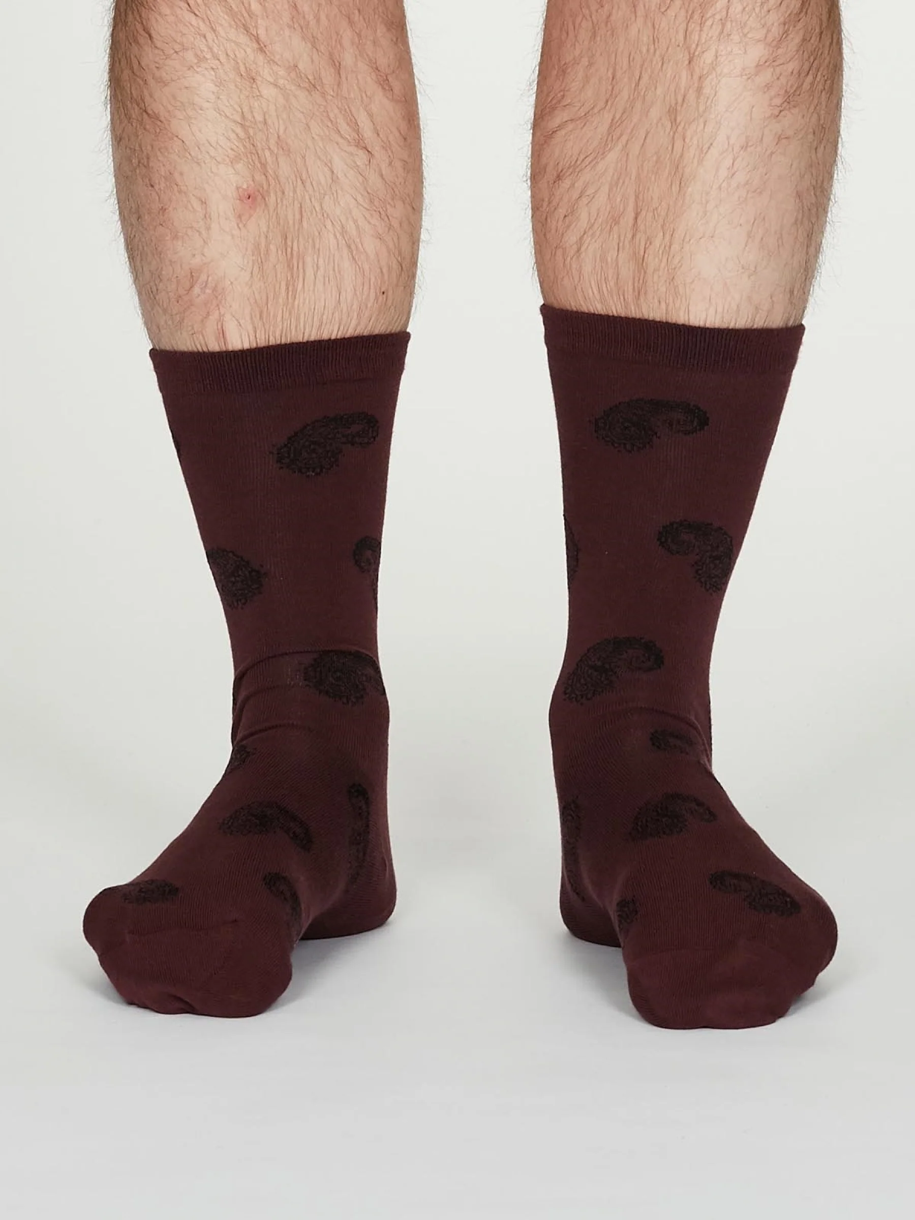 Homer Socks - Burgundy - Flockneti
