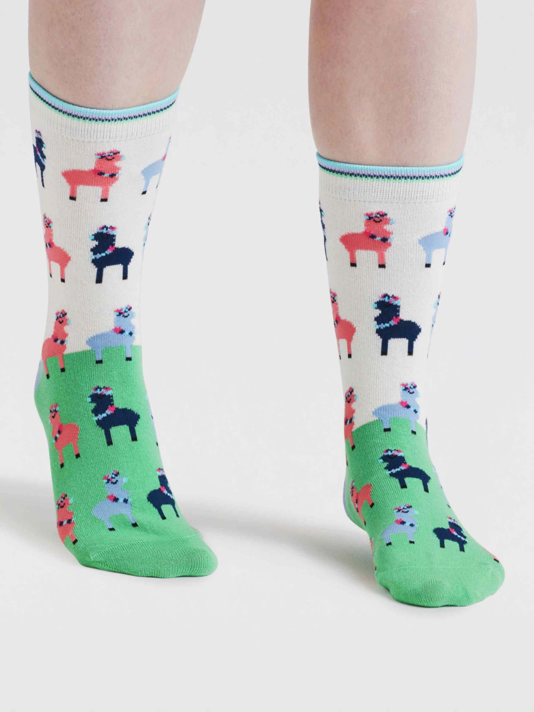 Womens Clara Rainbow Llama Organic Cotton Socks - Apple Green - Flockneti