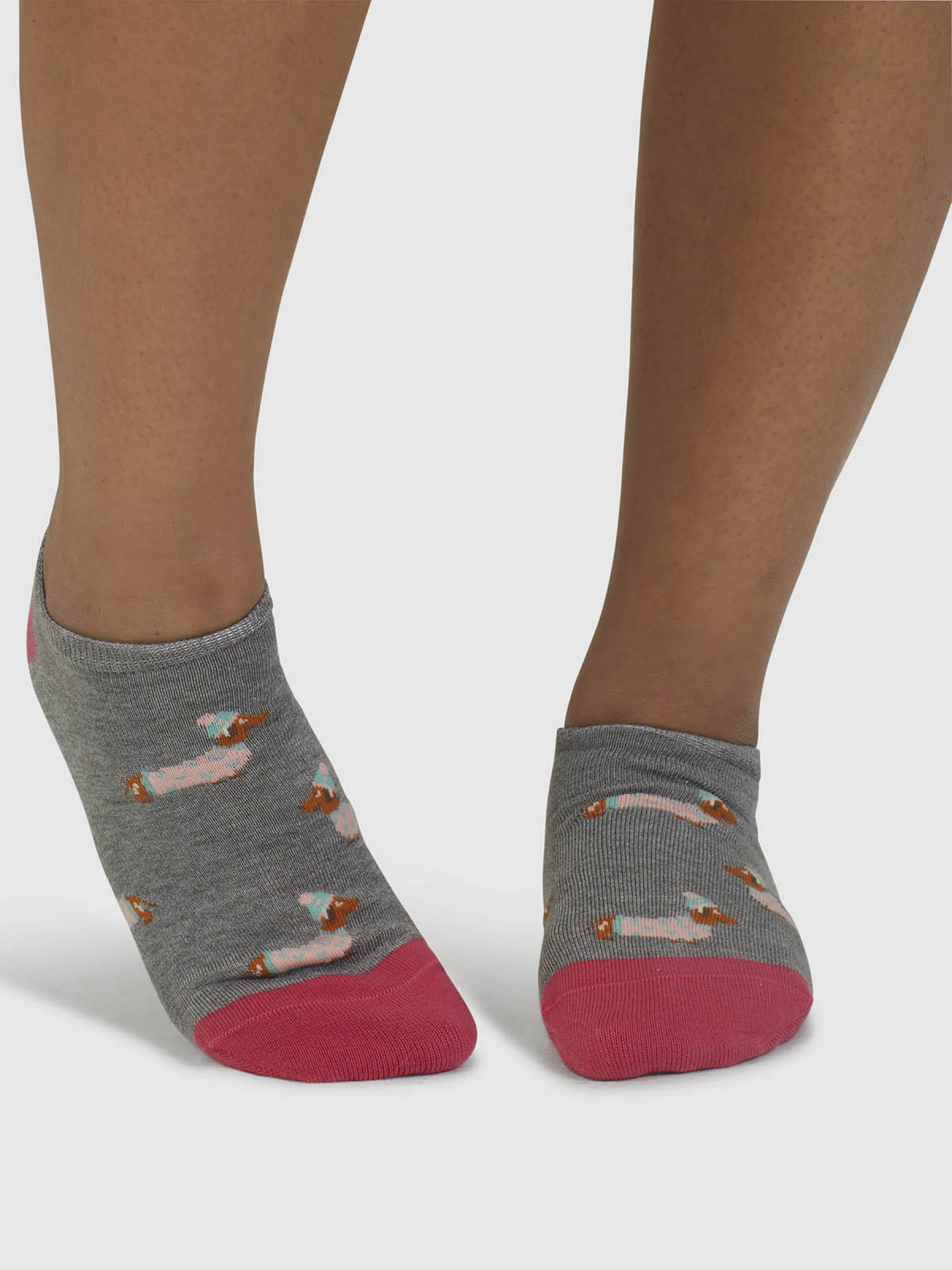 Freda Dachshund Organic Cotton Trainer Socks - Mid Grey Marle - Flockneti