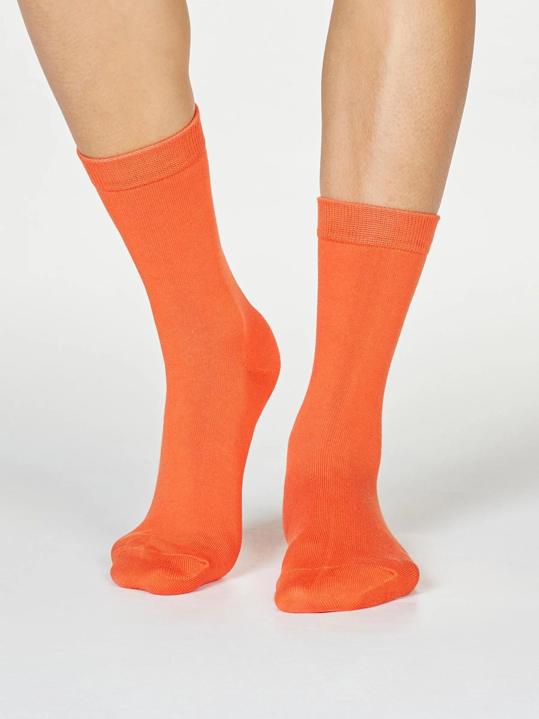 Rainbow Leftover Bamboo 7 Pack Sock Box - Flockneti