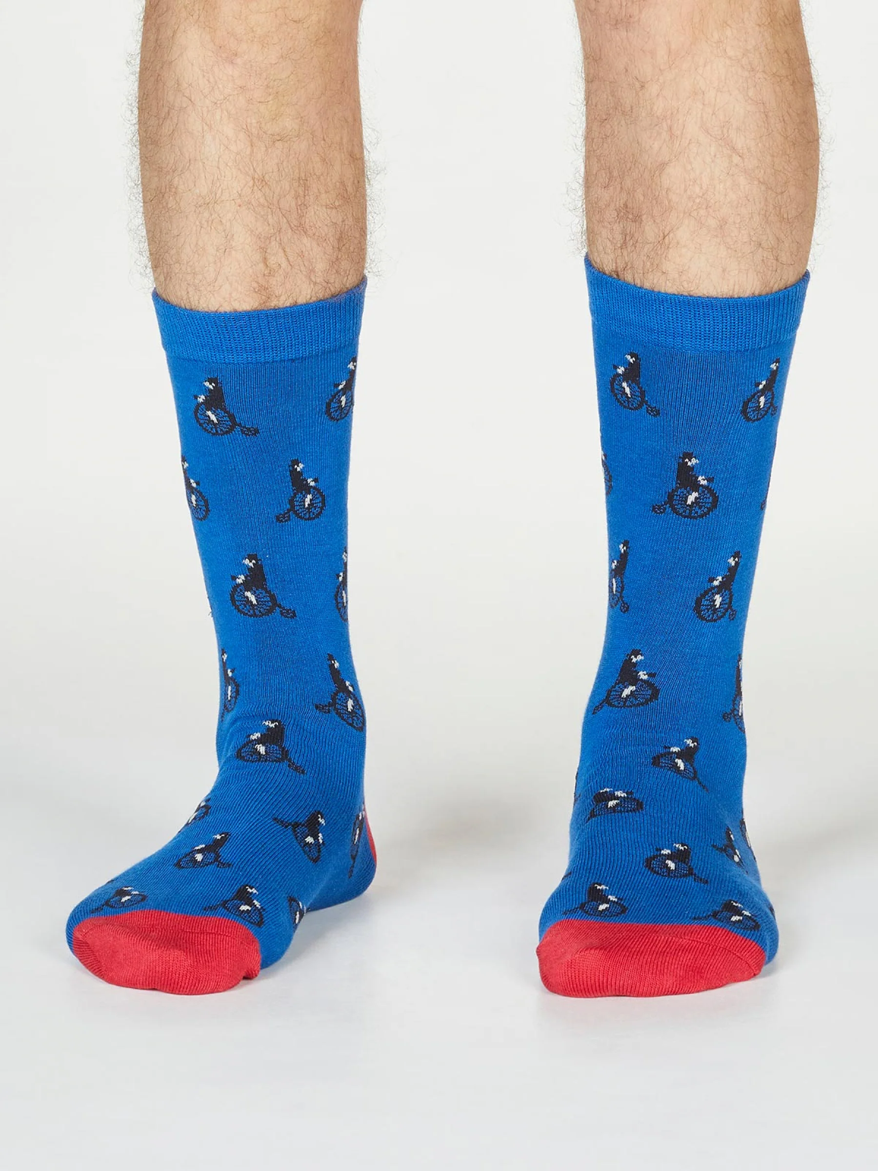 Ashton Bicycle Socks - Bright Blue - Flockneti