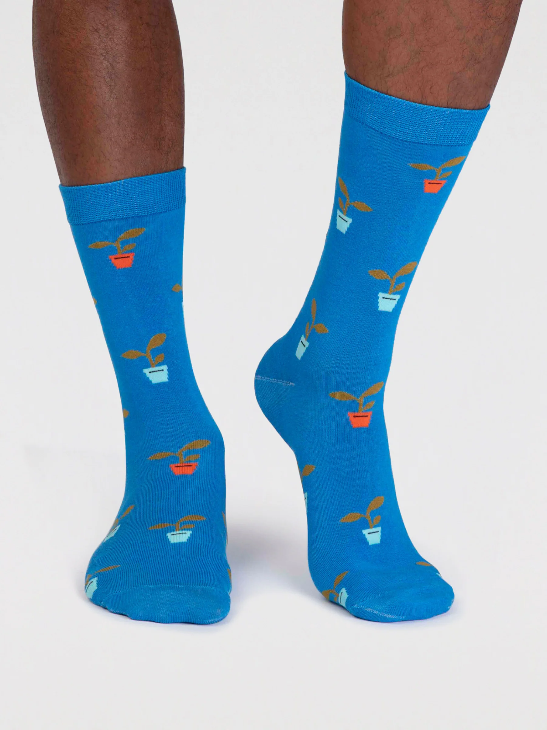 Norman Organic Cotton Gardening Sock Box - Multi - Flockneti