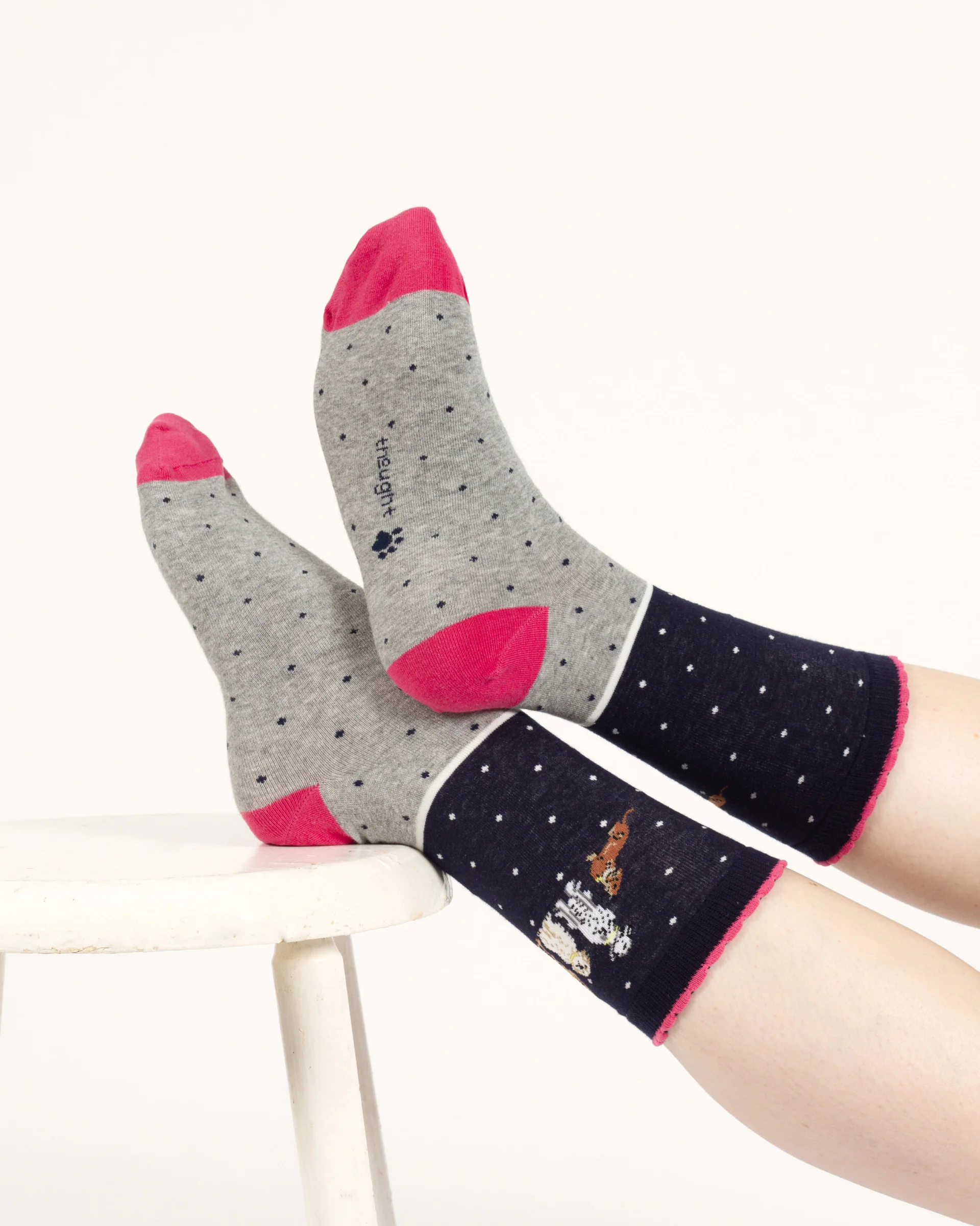 Be Pawsitive Organic Cotton 2 Socks in a Bag - Blue Multi - Flockneti