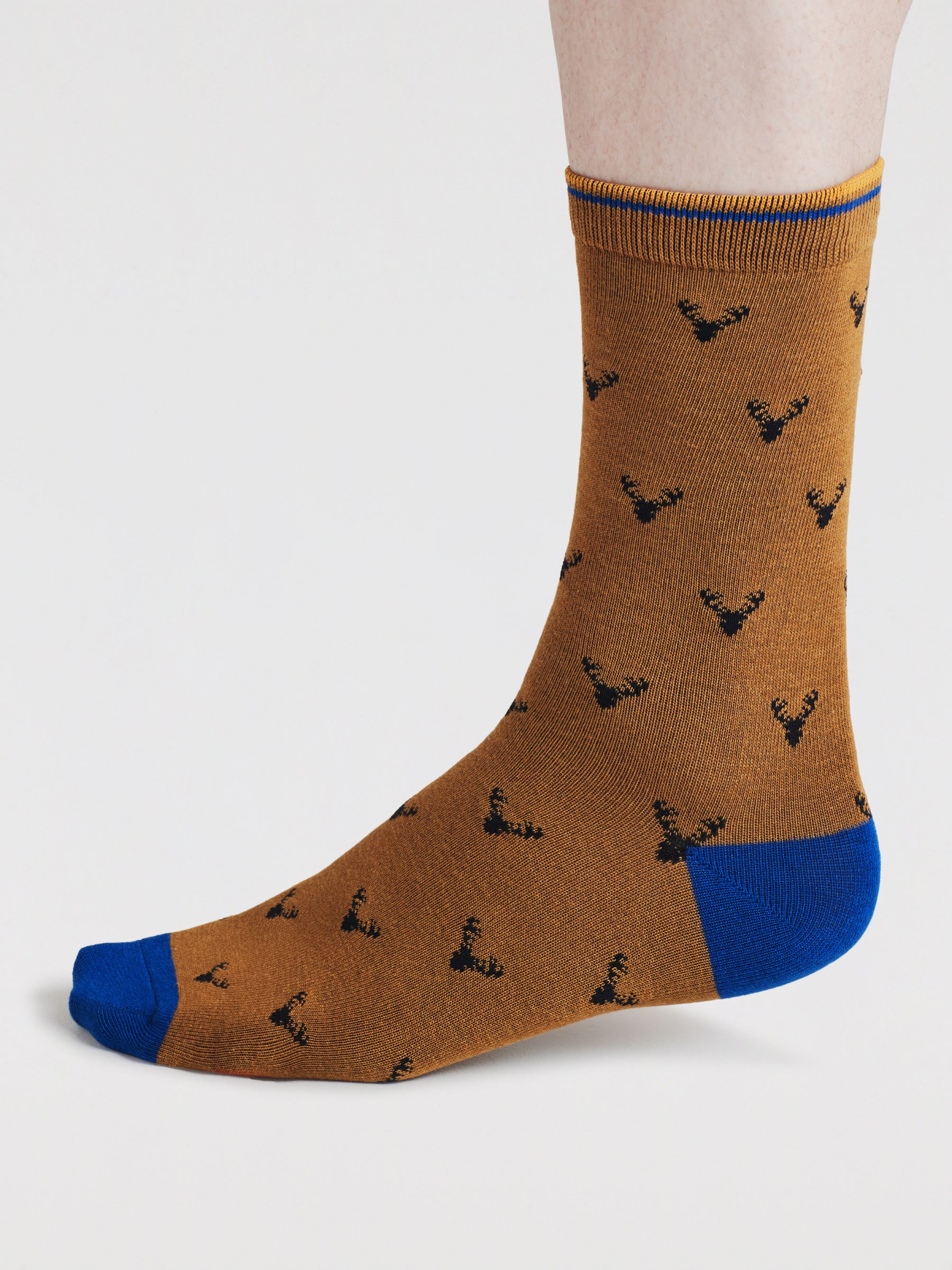 Daly Forest Adventure Bamboo 7 Sock Gift Box - Multi - Flockneti