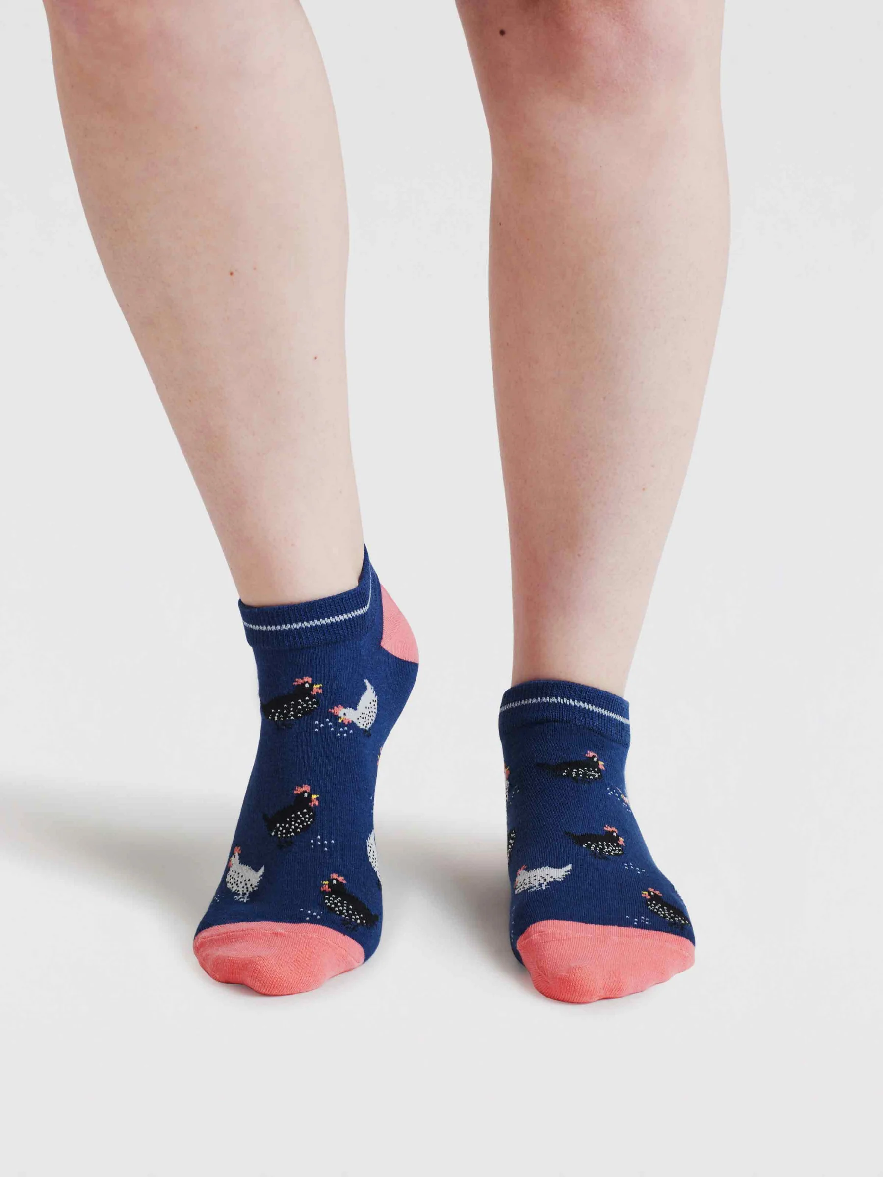 Womens Celia Chicken Bamboo Trainer Socks - Indigo Blue - Flockneti